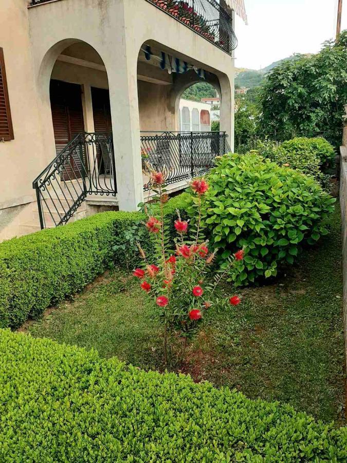 קוטור Andrej Apartments מראה חיצוני תמונה